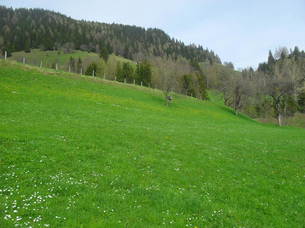 Apartmán Bio-Bergbauernhof Moslhof Aigen im Ennstal Pokoj fotografie