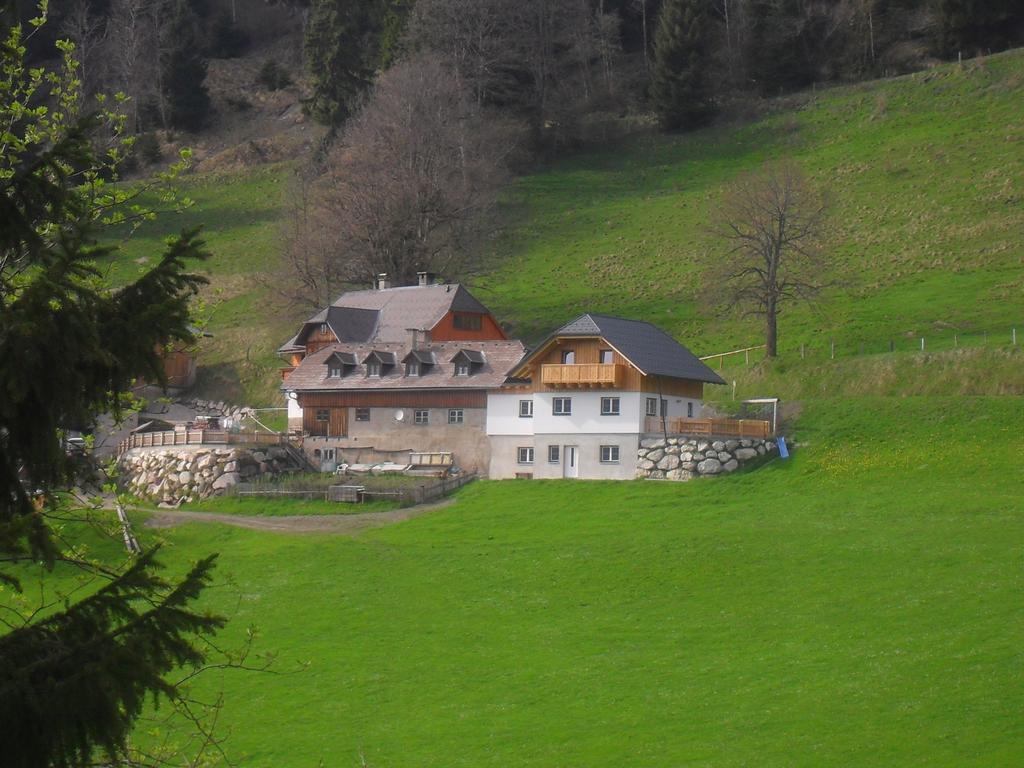 Apartmán Bio-Bergbauernhof Moslhof Aigen im Ennstal Pokoj fotografie