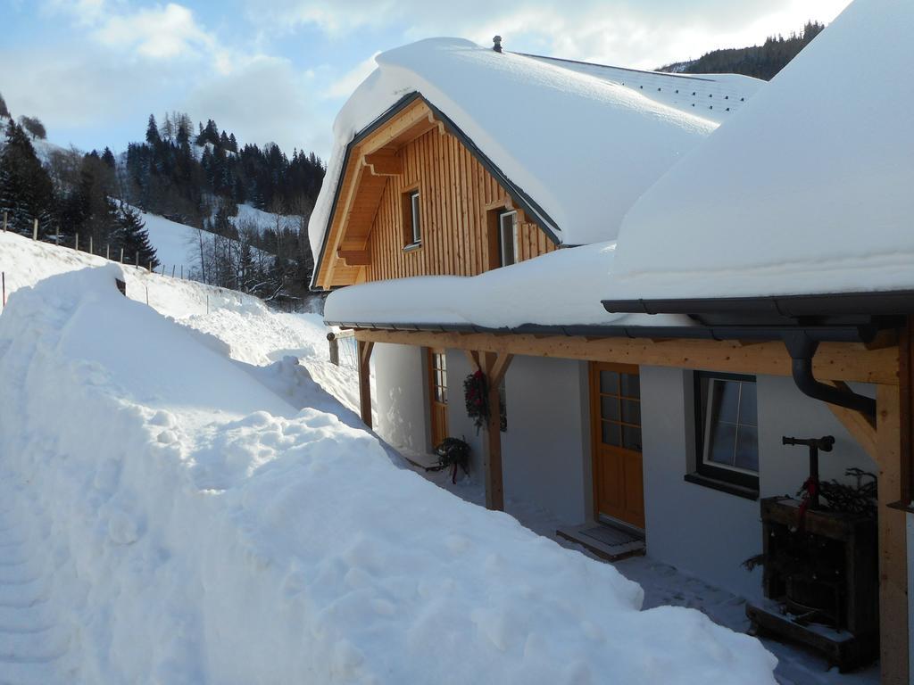 Apartmán Bio-Bergbauernhof Moslhof Aigen im Ennstal Exteriér fotografie